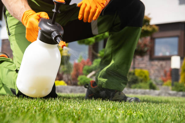 Best Pest Prevention Services  in Mcdonough, GA