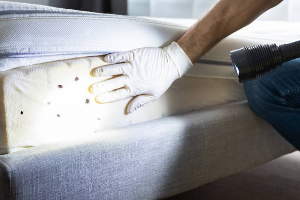 Best Pest Inspection Near Me  in Mcdonough, GA