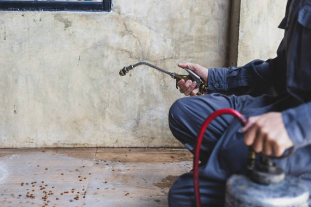 Best Wasp Removal Services  in Mcdonough, GA